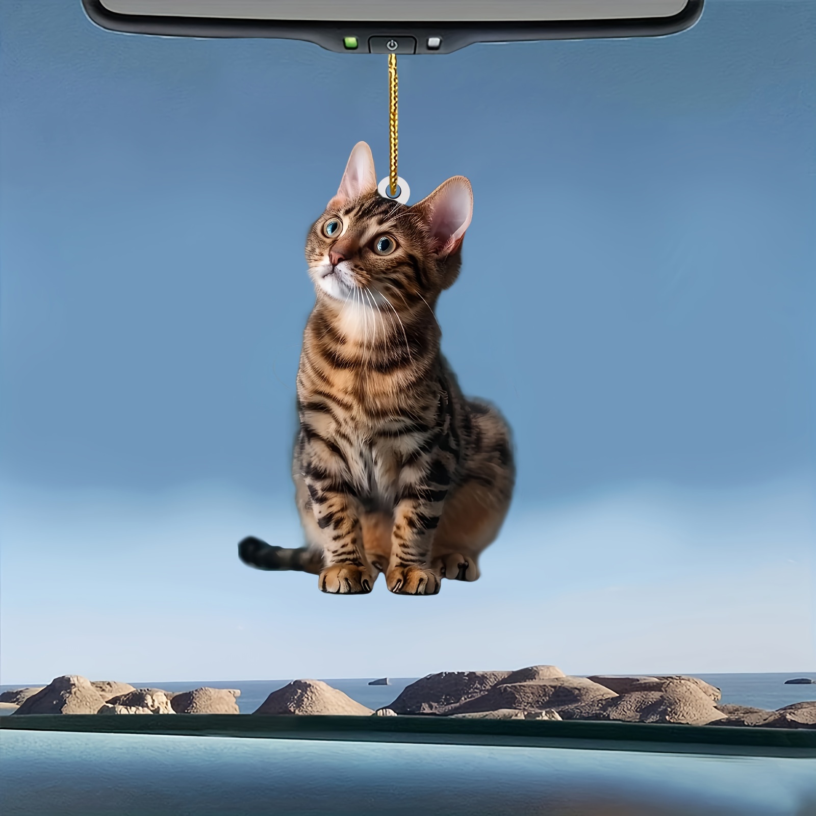 3pcs 2D 플랫 고양이 아크릴 펜던트 매달려 장식  - Car Accessories Oman 리뷰 및 가격