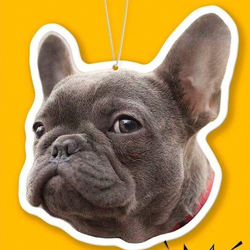 1PC 맞춤형 PMMA 자동차 걸이 - 개인 맞춤 이미 - Car Accessories Hanging 리뷰 및 가격